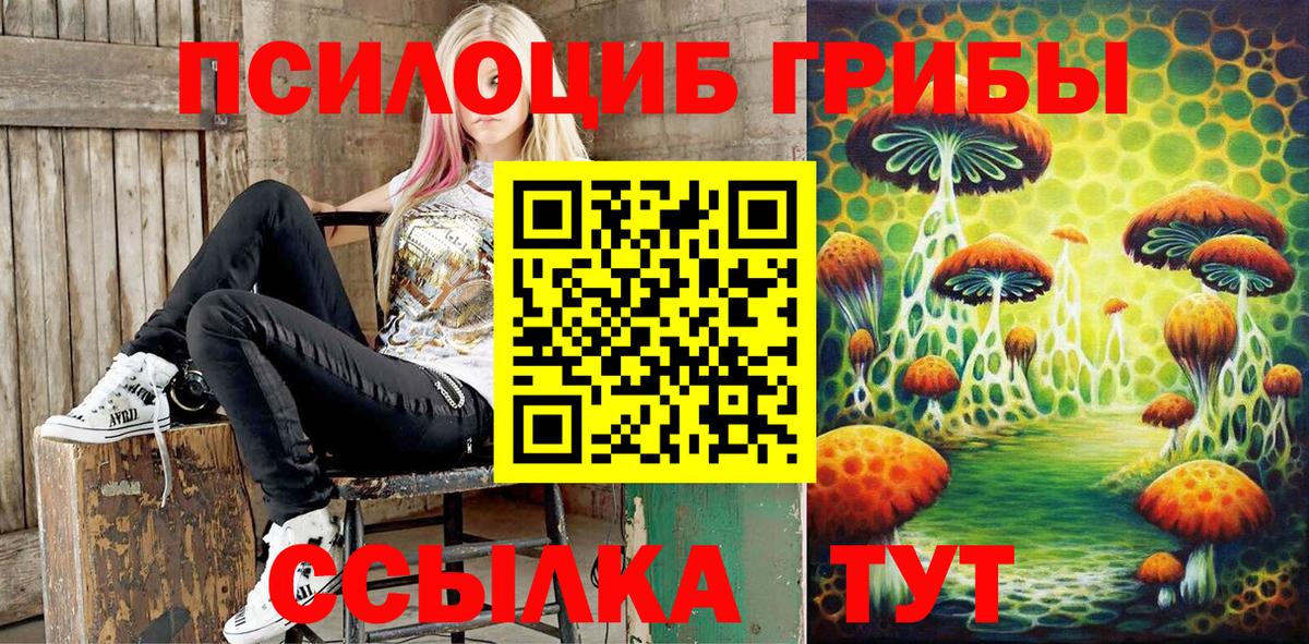 Псилоцибиновые грибы мицелий Истра